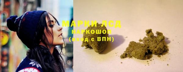 ПСИЛОЦИБИНОВЫЕ ГРИБЫ Липки