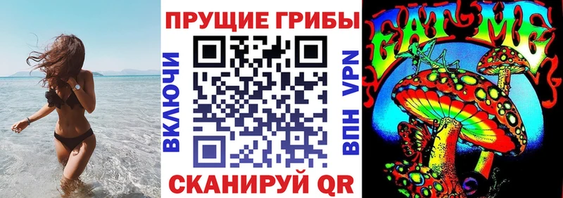 Псилоцибиновые грибы Cubensis  наркота  Грозный 